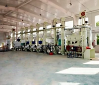 60 tpd popular silky rice sheller plant
